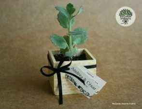 Recuerdo de boda - 4