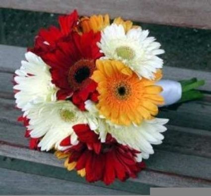 Blanco, rojo y naranja