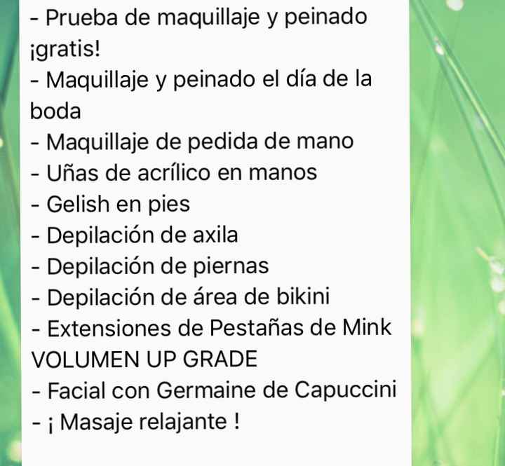  ¿maquillaje convencional o con aerógrafo Temptu? - 2