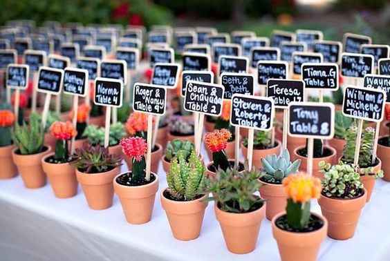 Recuerditos de boda, regalar vida (plantitas) regalar tarritos de miel (salud)