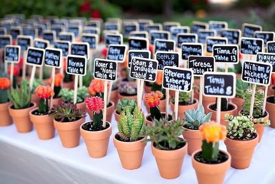 Recuerditos de boda, regalar vida (plantitas) regalar tarritos de miel (salud)