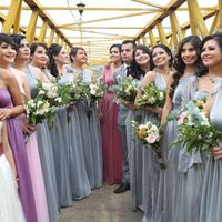 Mis cientos de damas