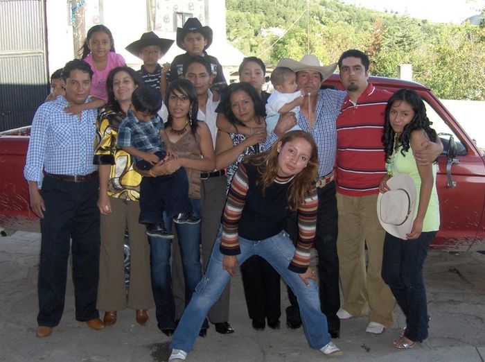 la familia politica
