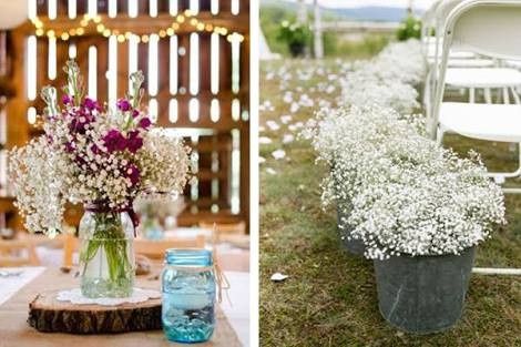 Flores en diciembre 4