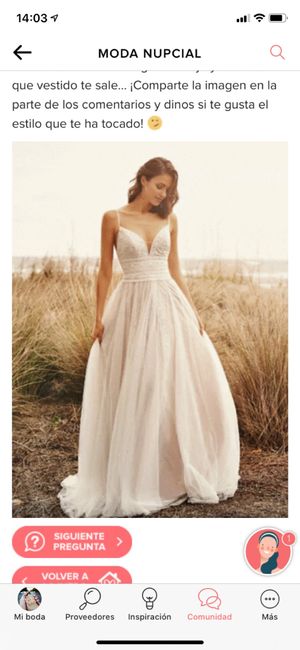 Haz screenshot y descubre tu vestido - 1