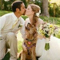 Queremos nuestras fotos con perritos