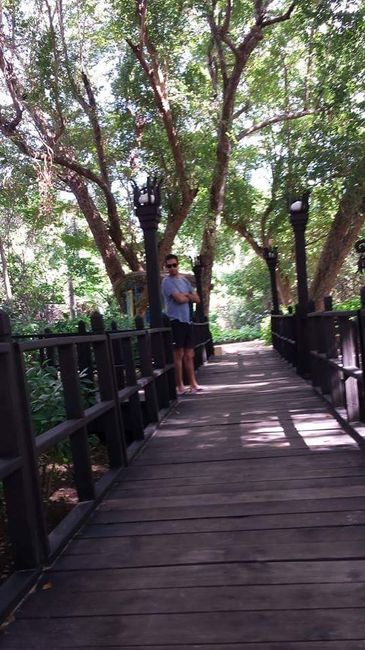 Honney moon punta cana dominican republic - 23