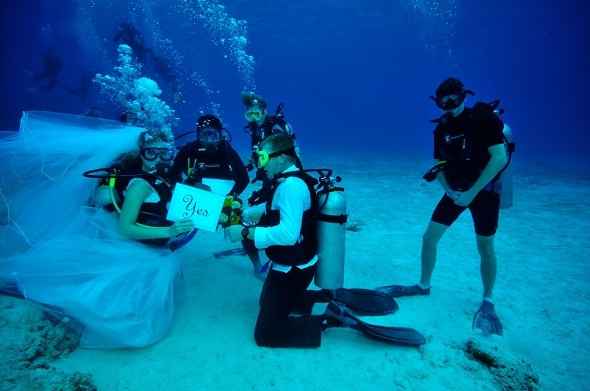 boda buceo