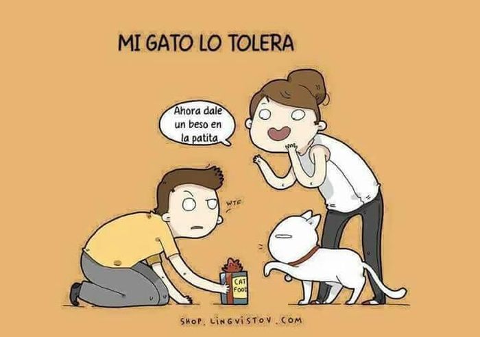 12 razones por las que tienes al mejor novio o esposo - 7