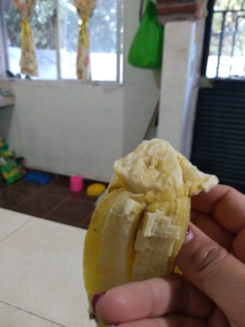 ÚNETE al reto de 21 días: NOVI@ SALUDABLE 🌿👰🥗🤸‍♀️ - 1