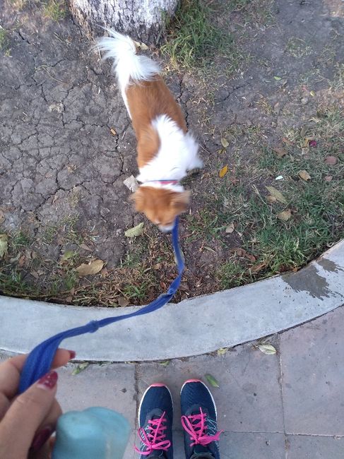 ÚNETE al reto de 21 días: NOVI@ SALUDABLE 🌿👰🥗🤸‍♀️ - 1