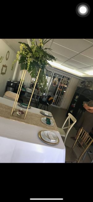 Paleta de colores rosas o azules - 2