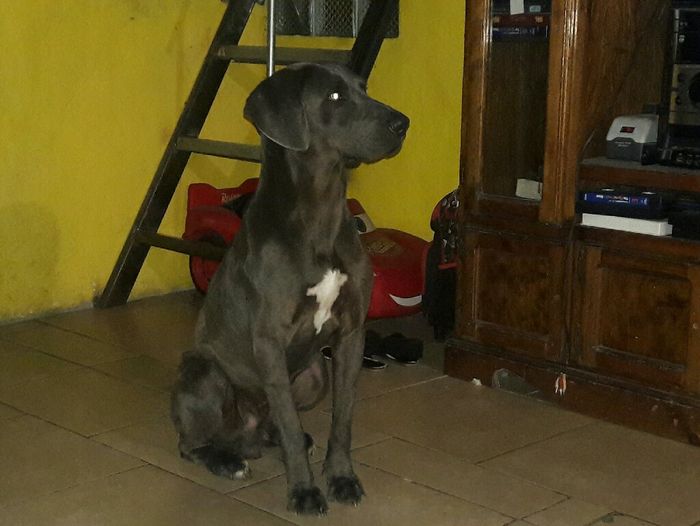 ¿Quién anunciará tu entrada a la iglesia? - 1