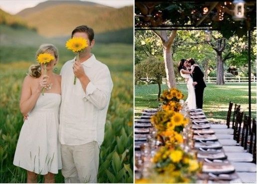 Inspiracion girasoles 15