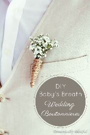 boutonniere baby's breath 16