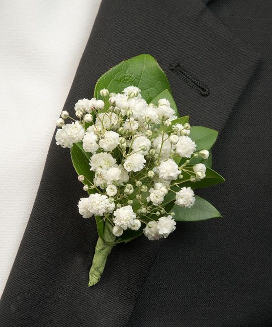 boutonniere baby's breath 22