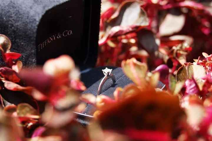 Mi anillo de compromiso - 1