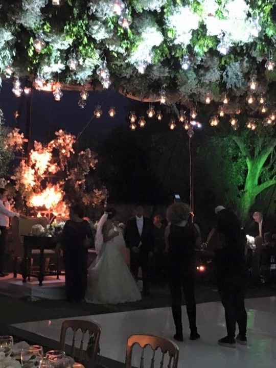 brindis con papás solamente