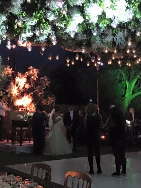 brindis con papás solamente