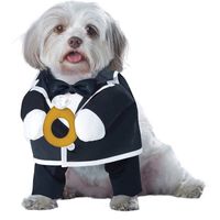 Mascotas en la boda!!!! - 1
