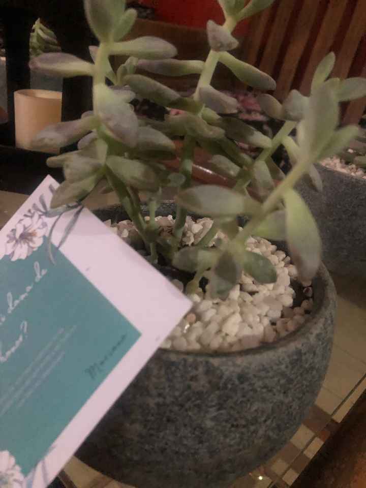 Manual para damas: Escoge cómo pedirles - 1