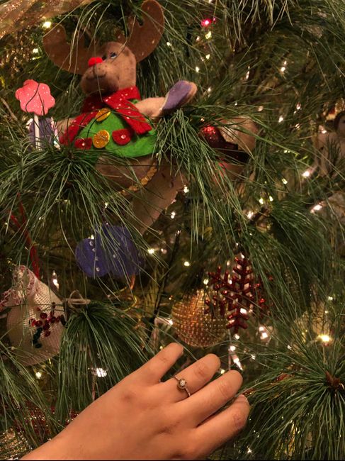 💍 + 🎄 = mini sesión 📸 2