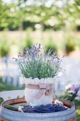 Ayuda con las flores!! 6