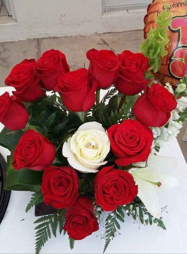 Hermosa sorpresa - 2
