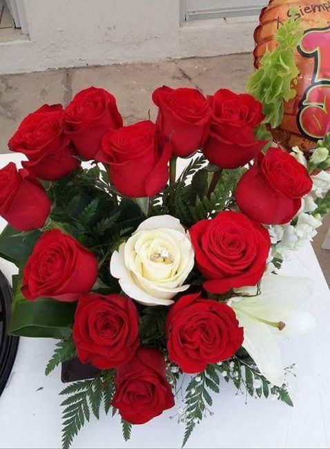 Hermosa sorpresa - 2