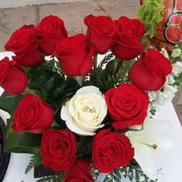 Hermosa sorpresa - 2