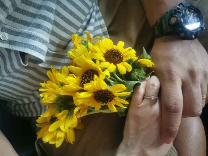 Guerra de admins: Anillo de compromiso - 1