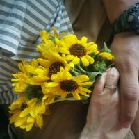 Guerra de admins: Anillo de compromiso - 1