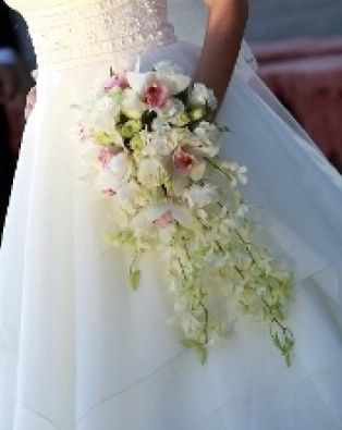 Ramo, cual es más bonito?  - 2