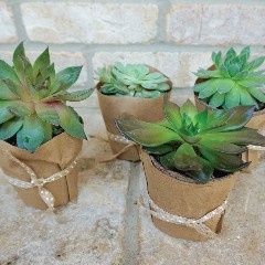 Mi resultado es Boda Equilibrada! 2