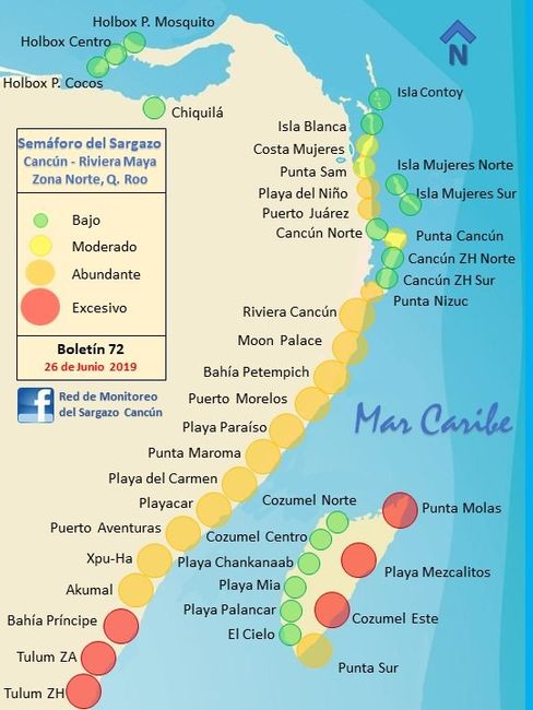 Hola! Te dejo la imagen de la situación de sargazo en cada playa.   :C