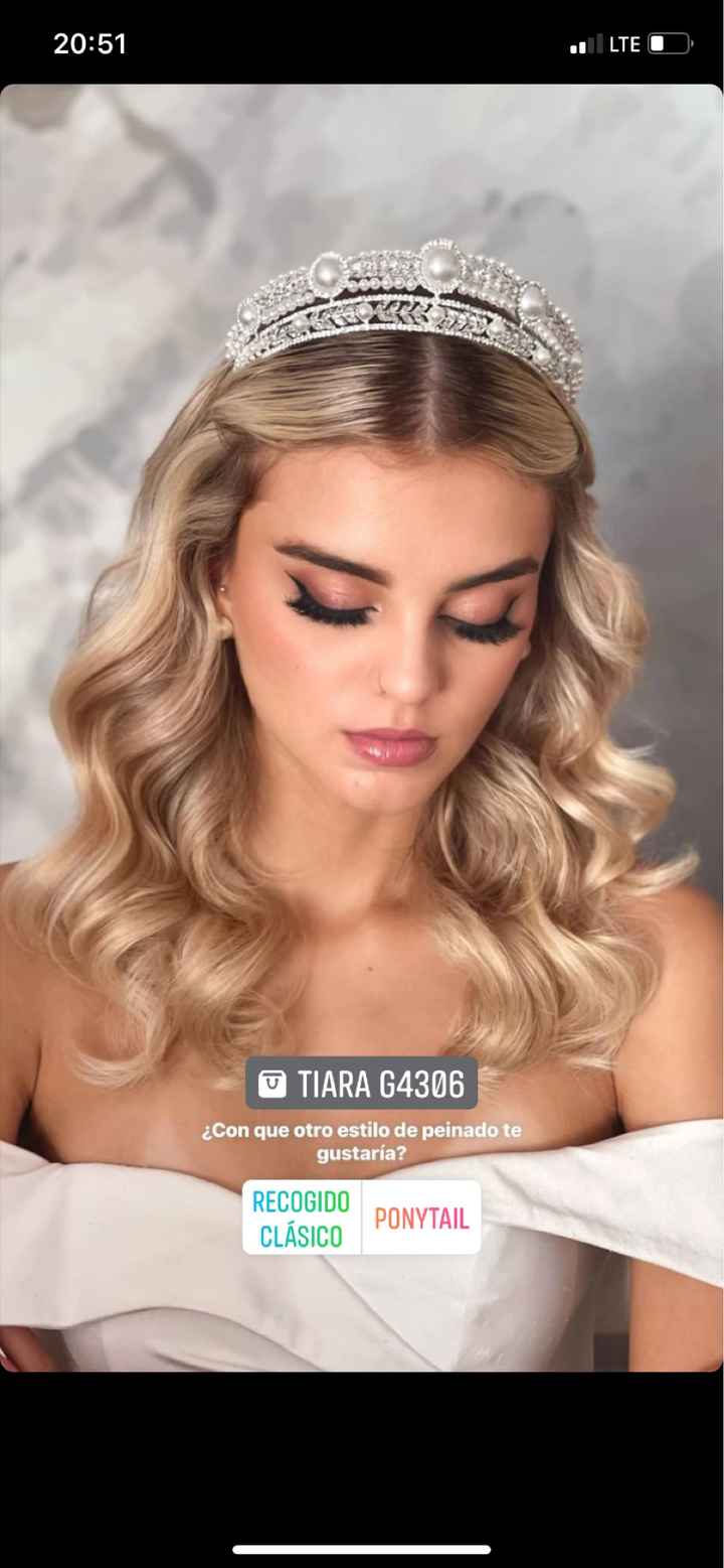 Accesorios para tu peinado - 1