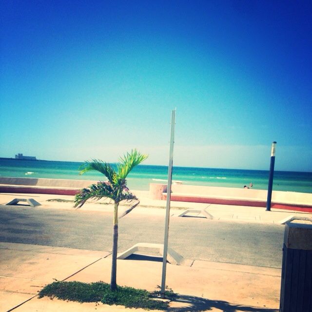 Recepción-bajo presupuesto - 1