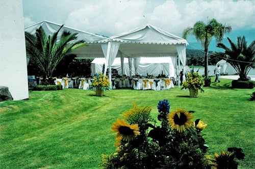  jardin, si o no  para noviembre? - 1