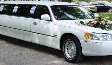 El transporte nupcial8