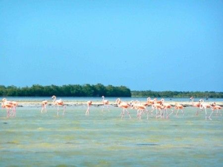 Luna de Miel en Holbox – Actividades