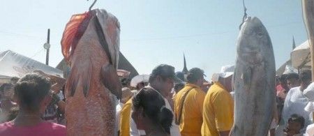 Luna de Miel en Holbox – Actividades