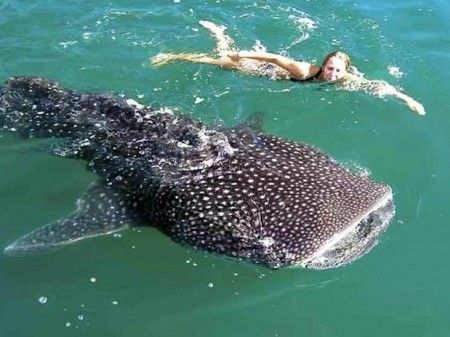 Luna de Miel en Holbox – Actividades