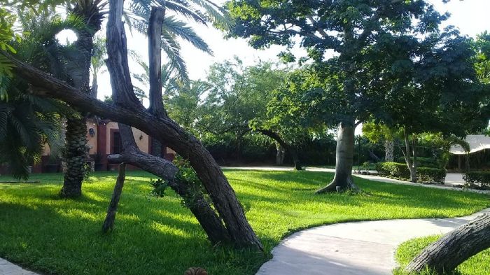 Que esté soleado!!!!! 😅🤔🙃😬🙈🌞 - 5