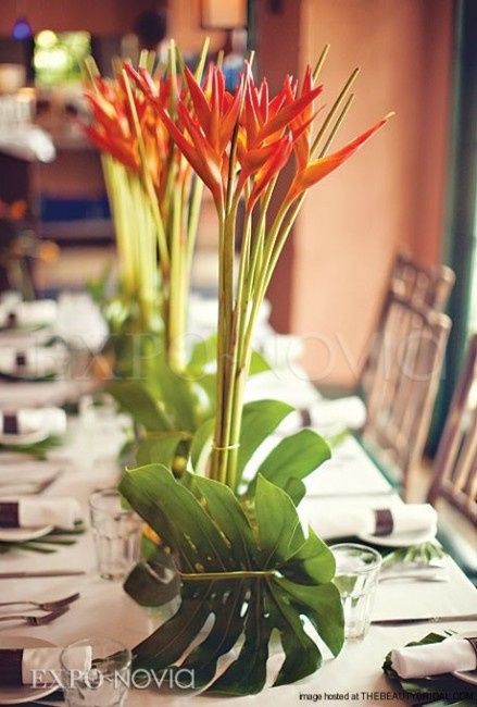 Flores resistentes al calor