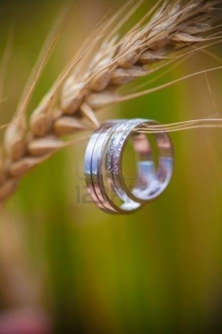 Boda Decoración con Trigo