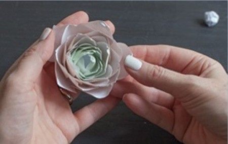 DIY: Flores Ranunculos (Ranunculus)