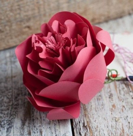 DIY: Flores Peonias