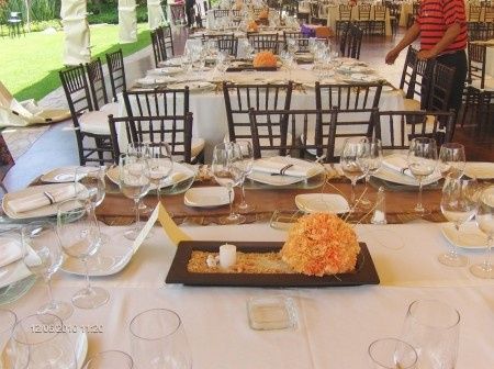 Centros de Mesa para Playa