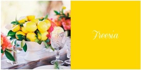Colores para Bodas en la Primavera 2014