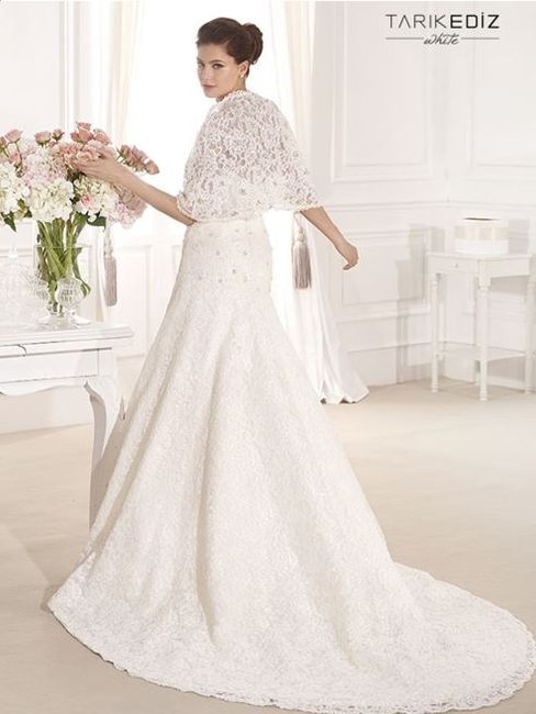 Vestidos de Novia - Encajes y Transparencias 2014